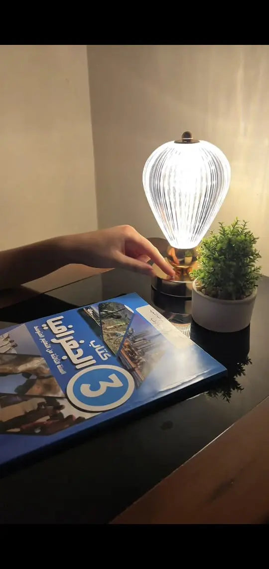 مصباح الوردة المضيئة -ذكي و قابل للشحن يدوم 10 ساعات اضاءة دون كهرباء LED